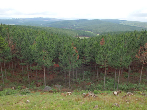 Overview of the countryside.